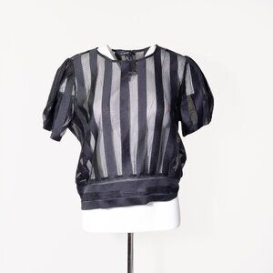 STRIPE ORGANZA SHEER CAP SLEEVE TOP Size 1X